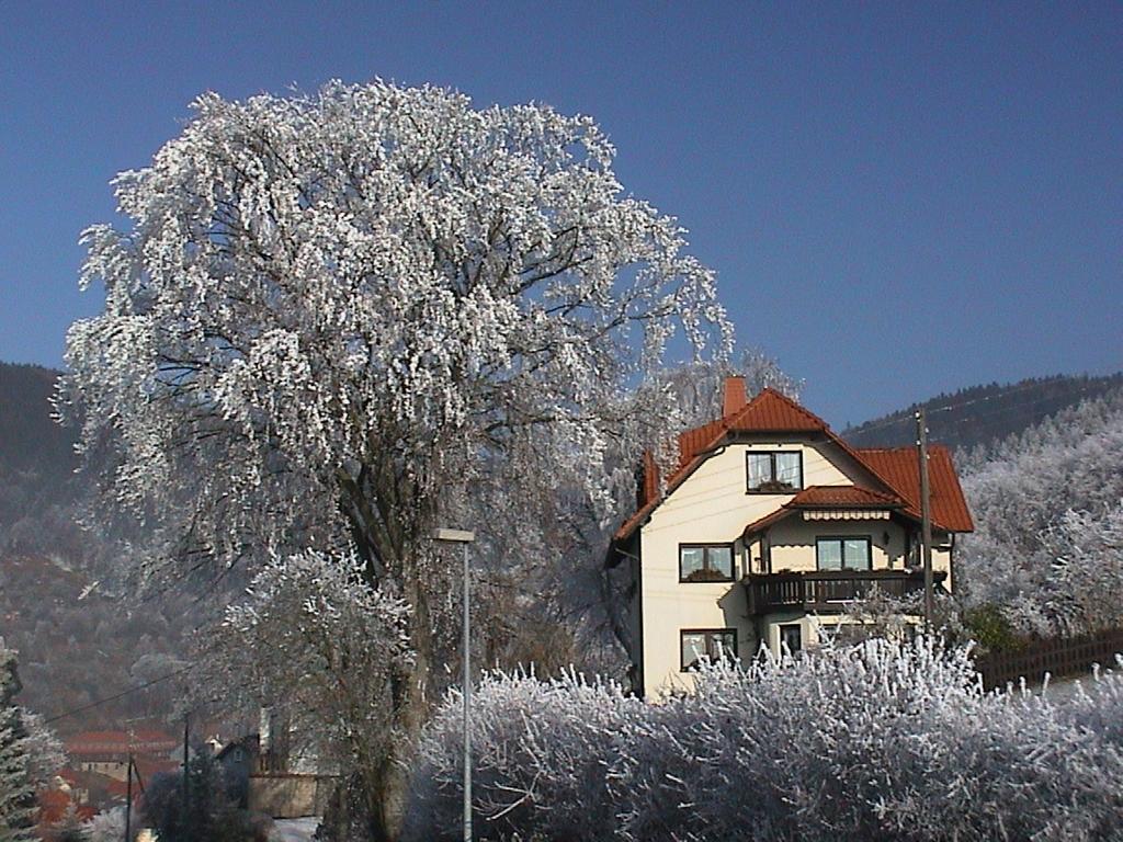 Ferienwohnung Panorama Rauenstein Esterno foto