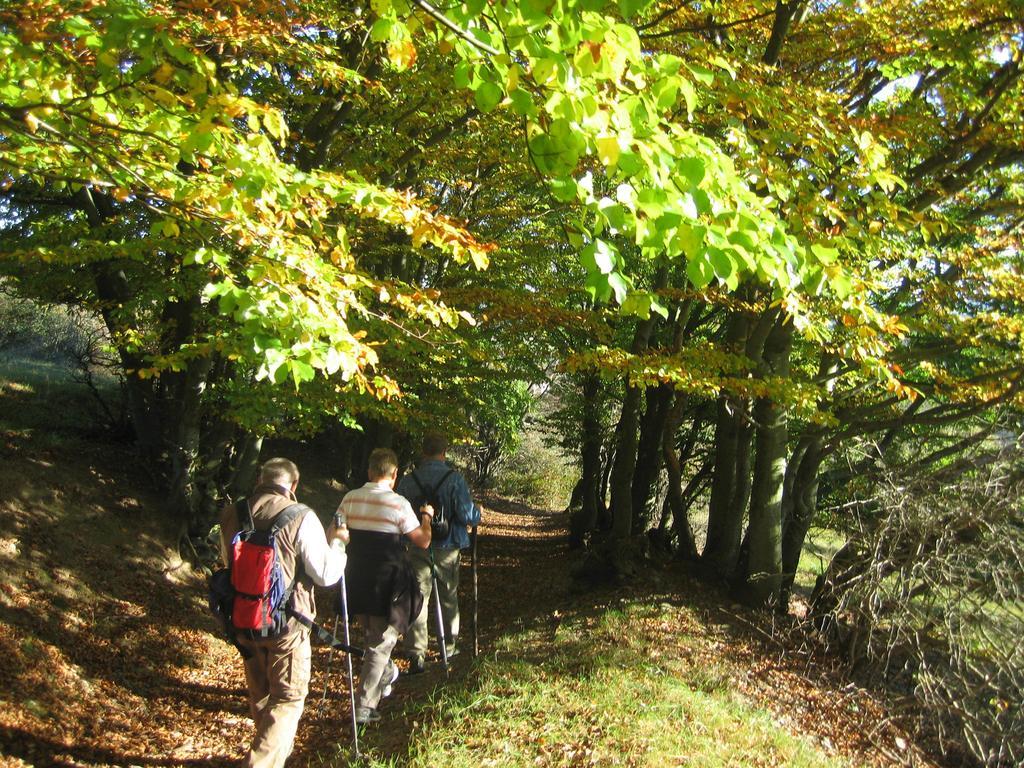 Ferienwohnung Panorama Rauenstein Esterno foto