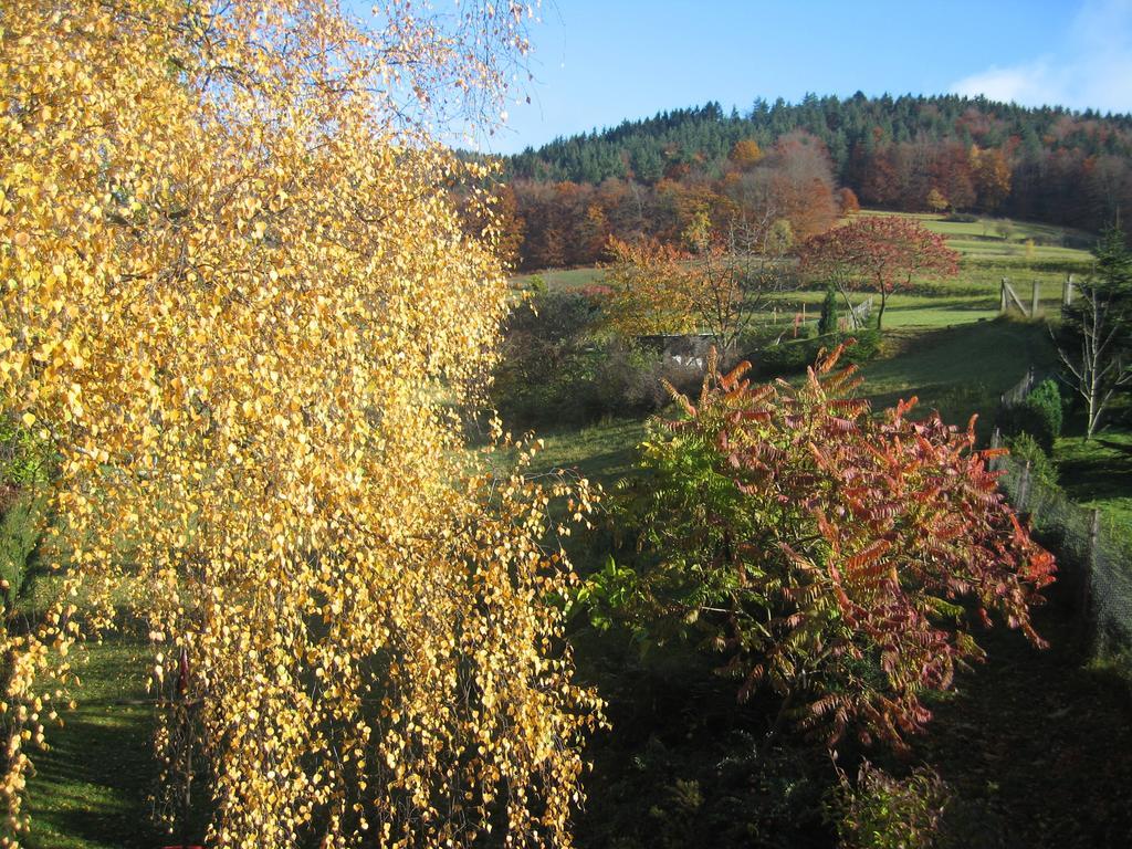 Ferienwohnung Panorama Rauenstein Esterno foto