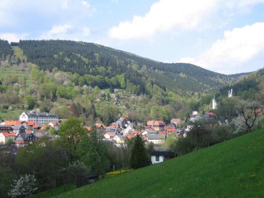 Ferienwohnung Panorama Rauenstein Esterno foto